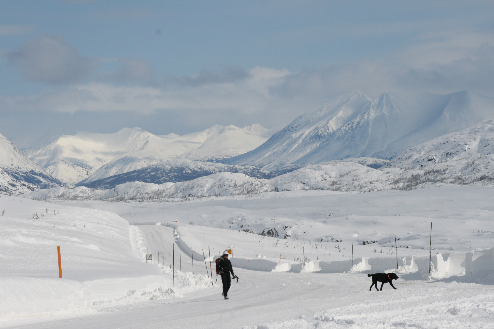 A skier and his dog in the White Pass