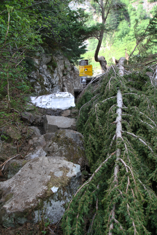 Avalanche damage at Twin Falls Recreation Site at Smithers