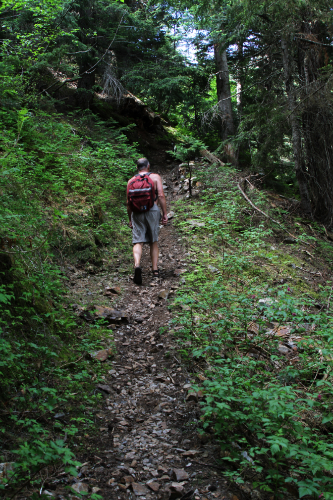 Glacier Gulch Trail at Smithers, BC