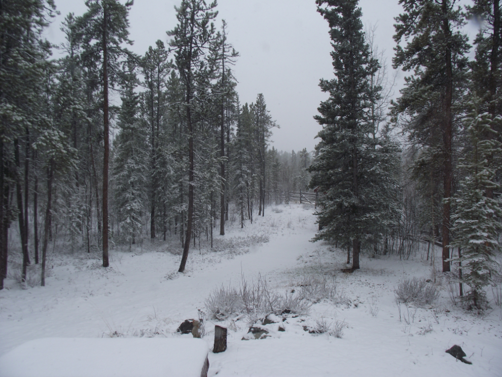 Snow in Whitehorse on May 12th