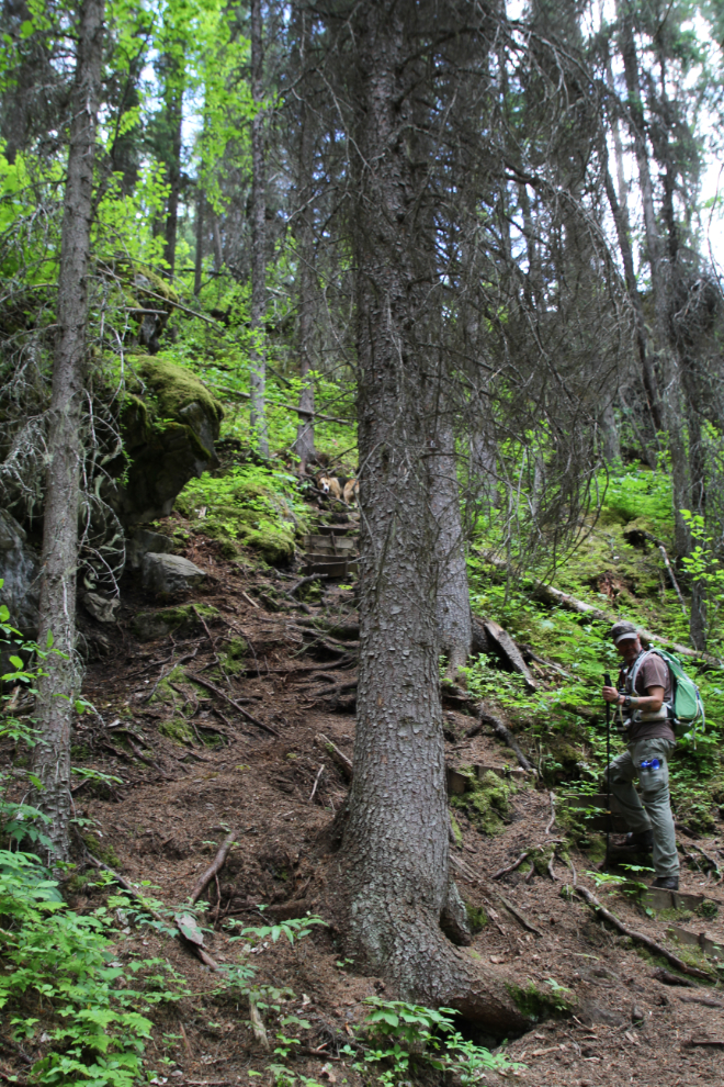 The Stone Corral Trail - Tumbler Ridge, BC