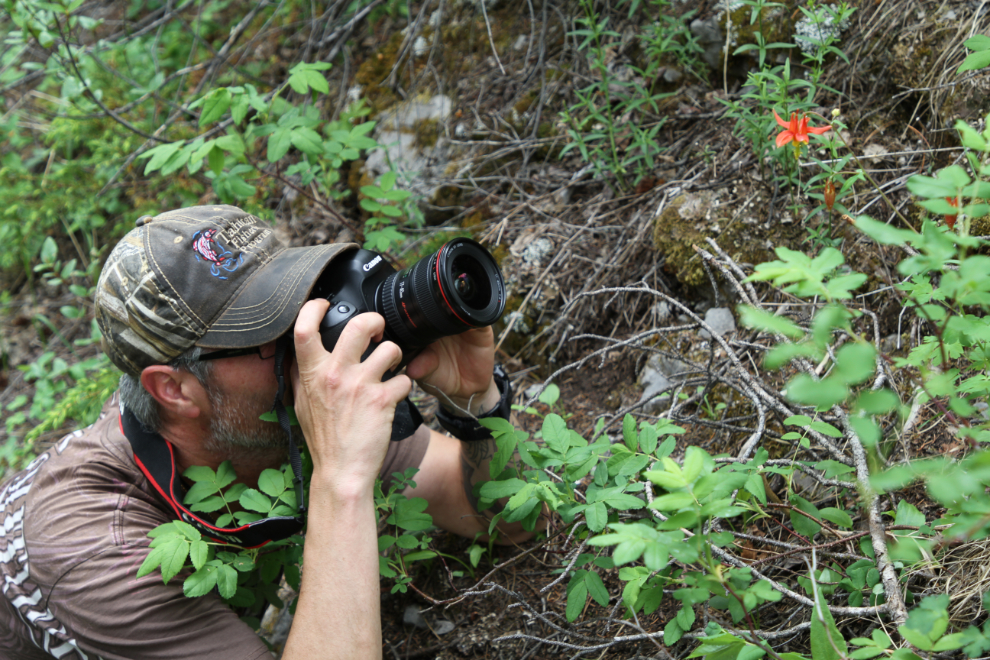 Collin Ball photographing a flower along the Stone Corral Trail - Tumbler Ridge, BC
