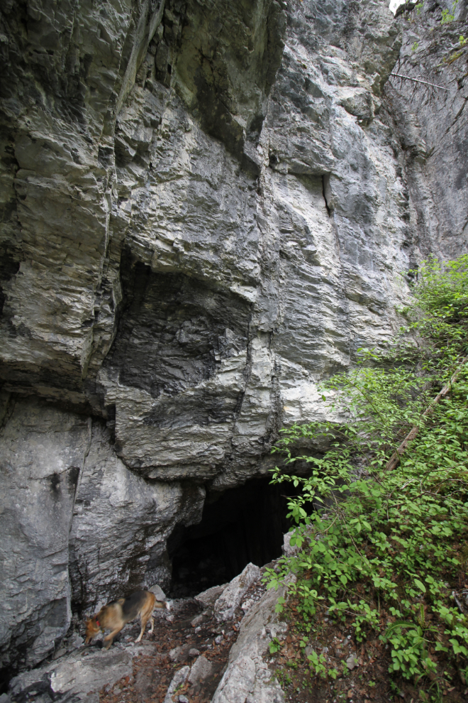 The Corral Cave - Tumbler Ridge, BC