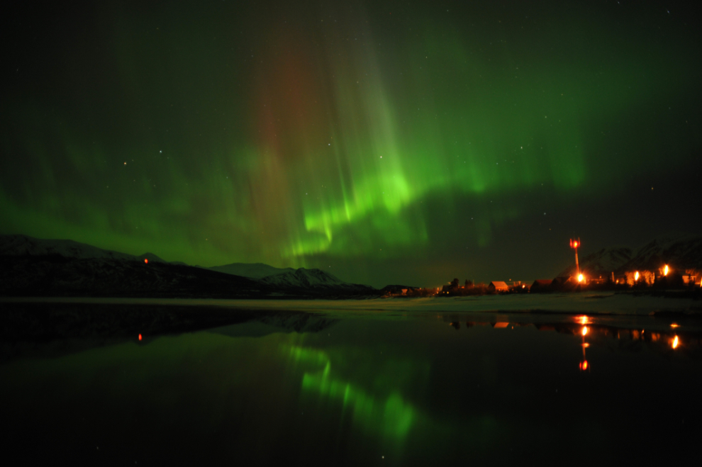 Aurora borealis at Carcross - by Wayne Roberts