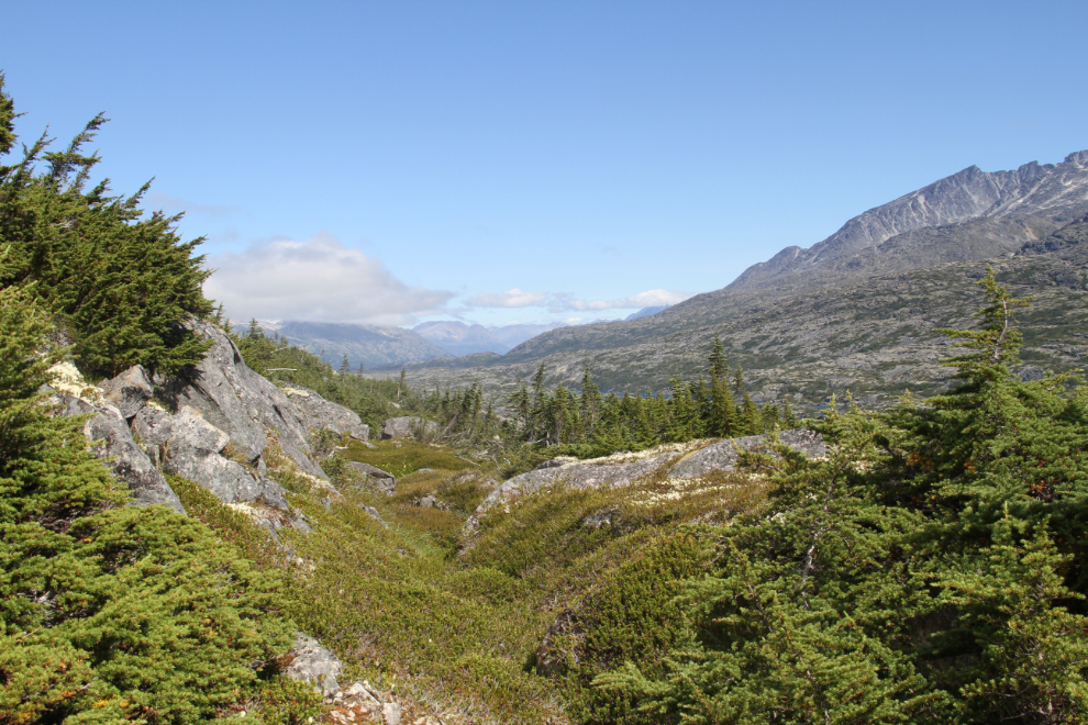 Hiking along the Canada/USA border in the White Pass