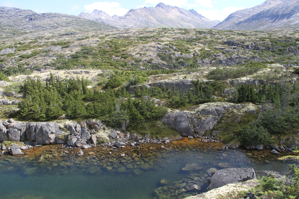 Hiking along the Canada/USA border in the White Pass