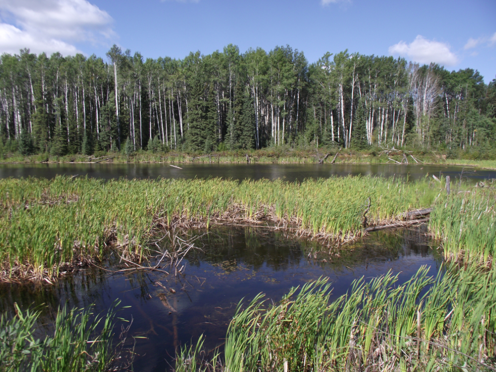 A pond along the Liard Highway.