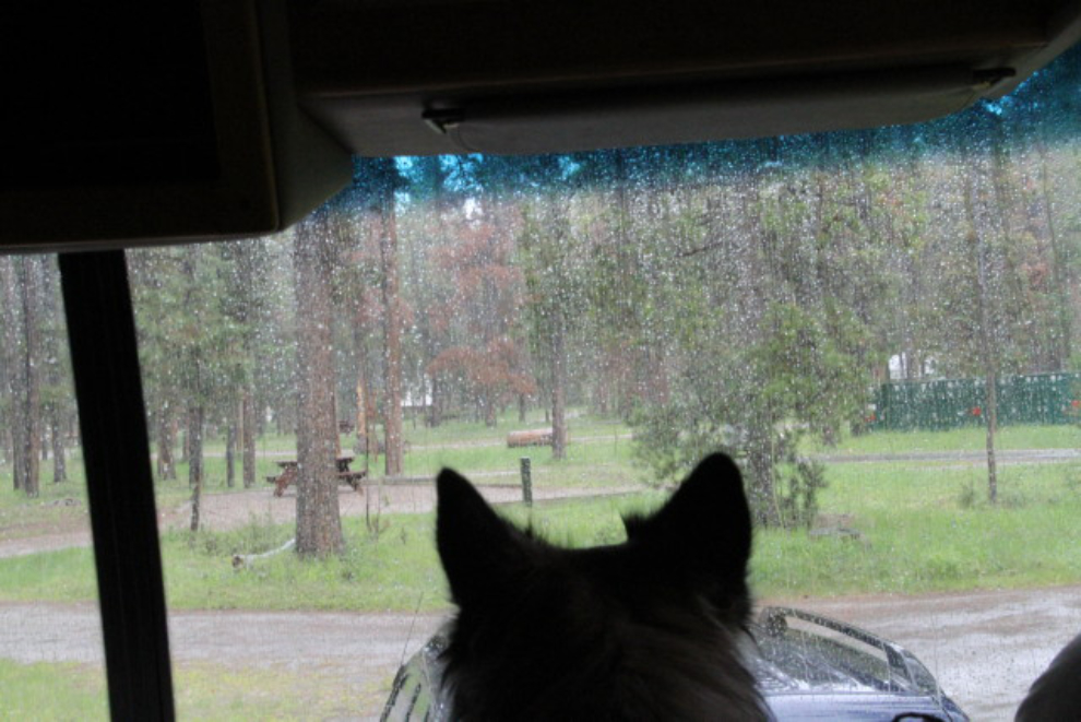 A rainy afternoon in the RV at Jasper