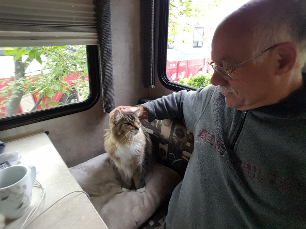My morning blogging buddy in the RV, Molly the cat