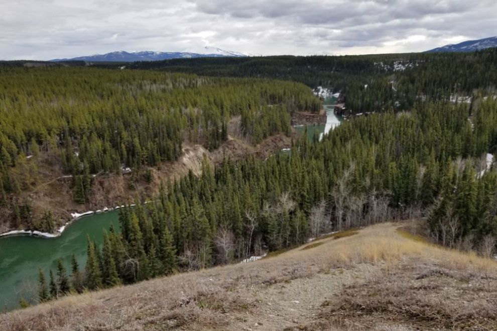 A view over Miles Canyon at Whitehorse