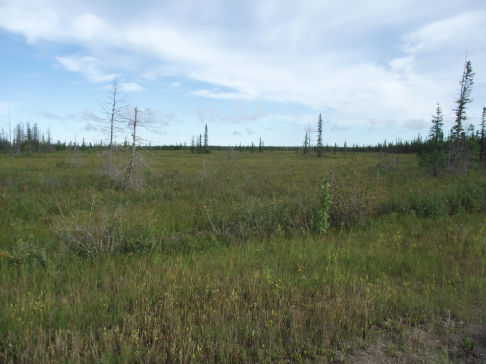 Open tundra at Mackenzie Highway Km 234.