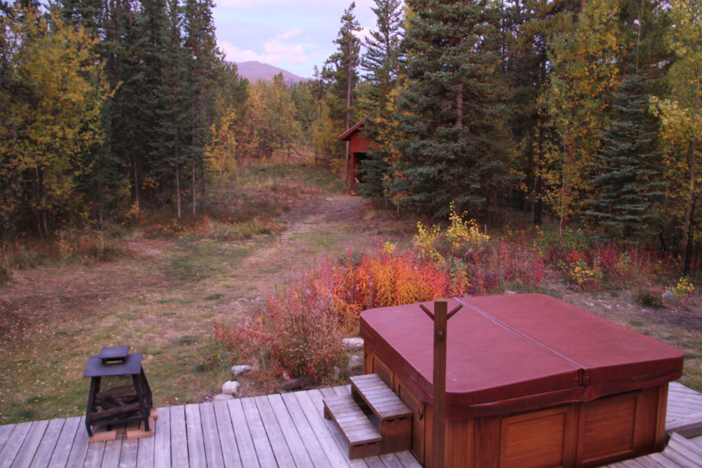 Fall colours in my back yard at Whitehorse, Yukon
