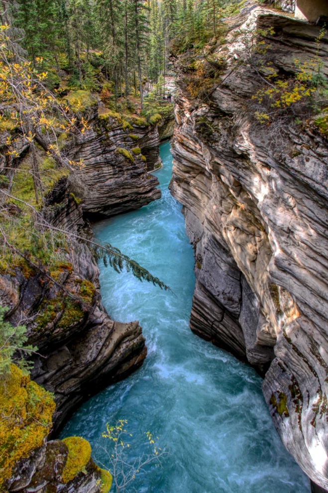 Gorge at Athabasca Falls, Alberta