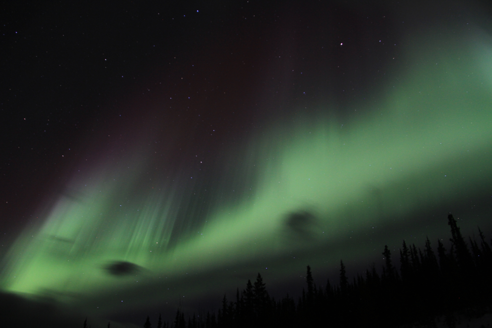 Aurora borealis along the Alaska Highway near Whitehorse, Yukon