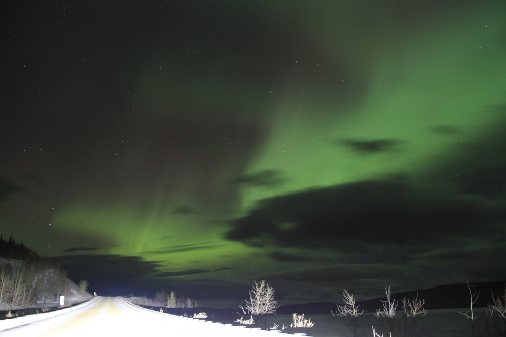 Aurora borealis over the Alaska Highway near Whitehorse, Yukon
