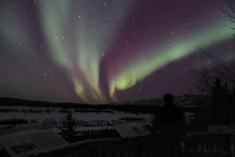 Aurora borealis in the Yukon