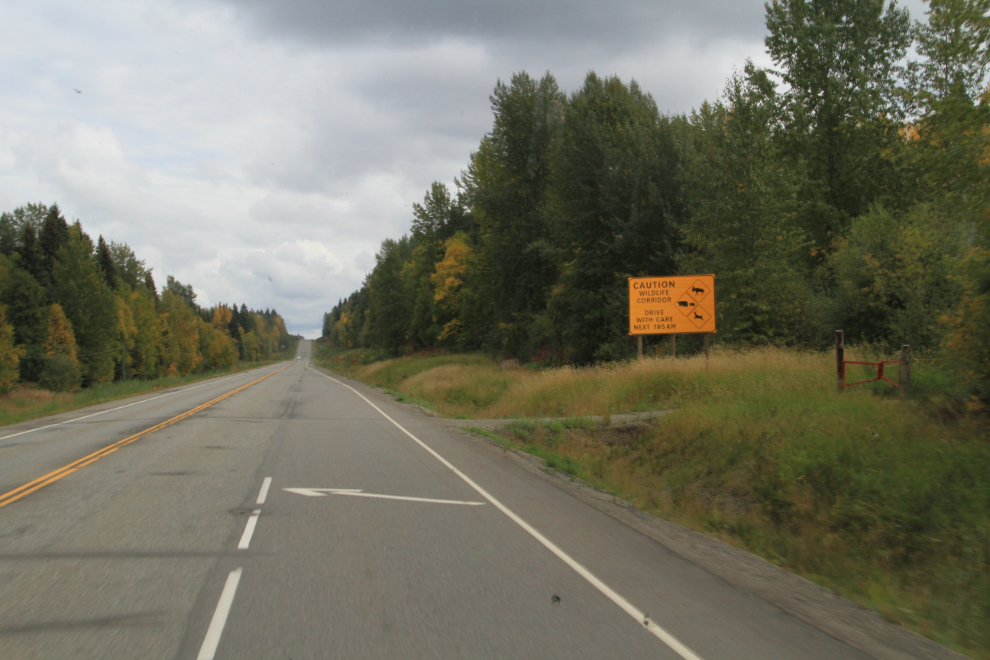 Yellowhead Highway, BC Hwy 16, wildlife corridor