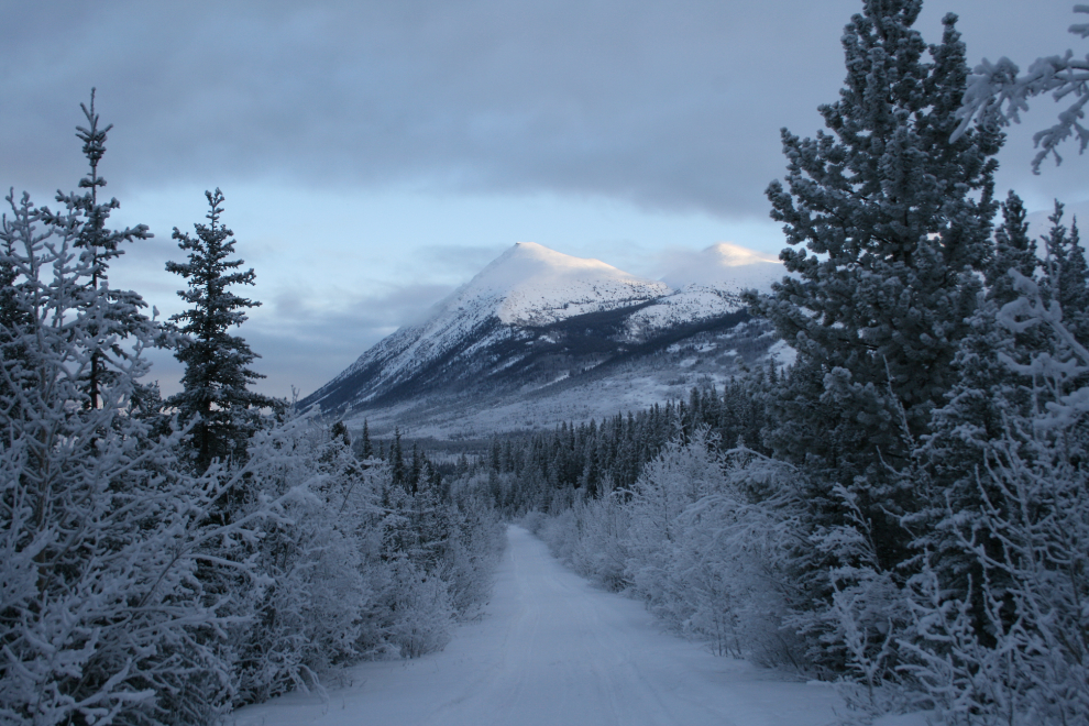 A winter view of my driveway at the Carcross cabin