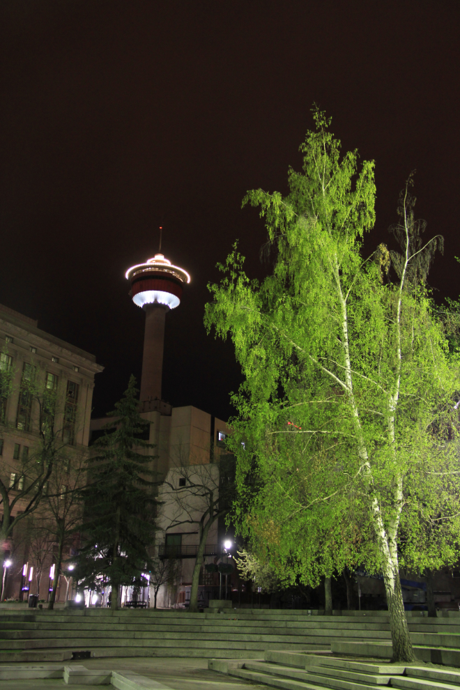 Calgary Tower, Alberta