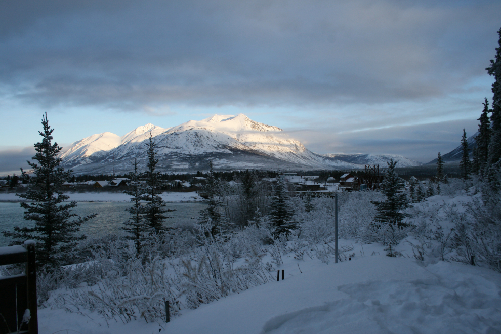 The view from my Carcross cabin
