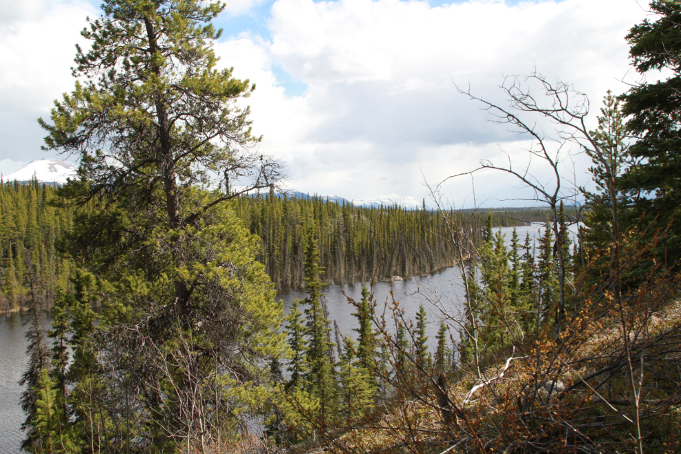 Murray Lake, Yukon, seen from the WWII Canol pipeline road