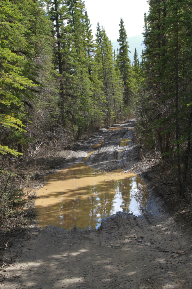 Mud on the WWII Canol pipeline road