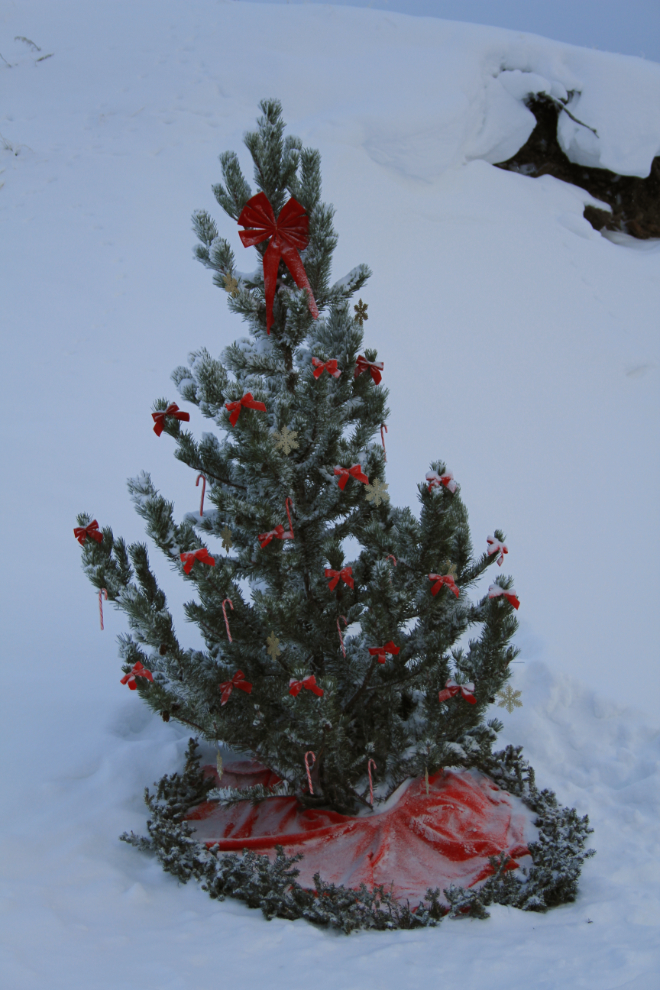 A Christmas tree out in the Yukon wilderness
