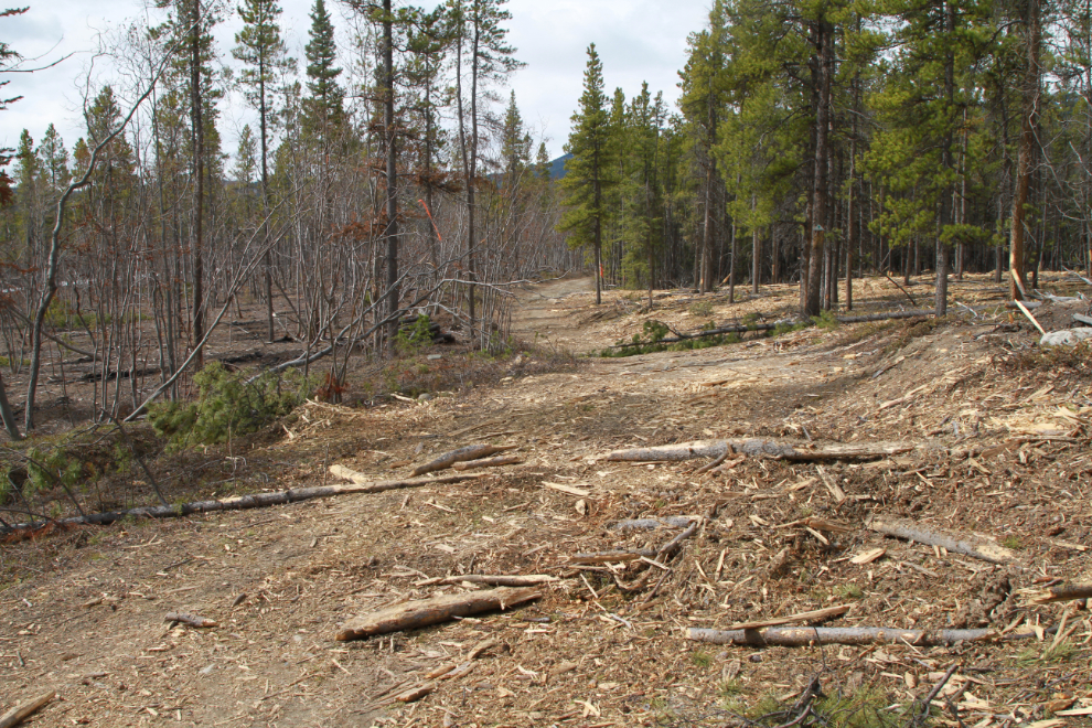 The Great Trail crosses a firebreak at Mary Lake, Yukon
