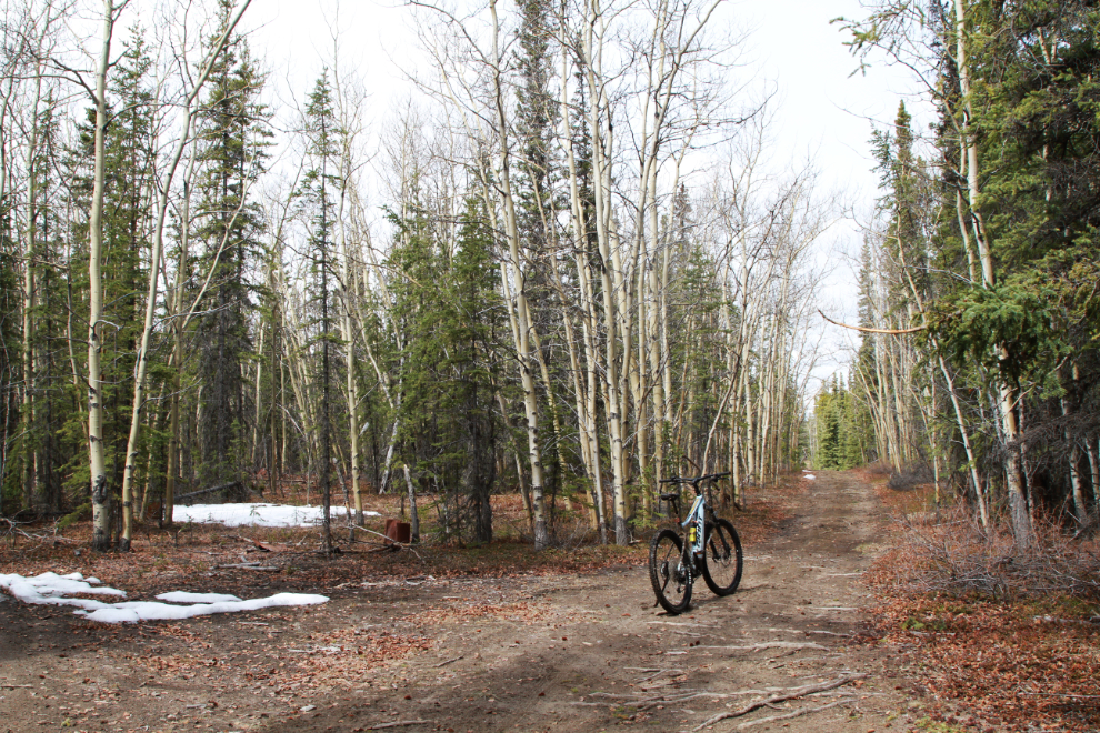 E-biking in the backcountry south of Whitehorse