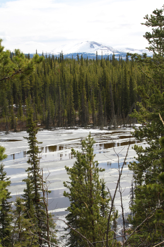 Frozen Murray Lake, Yukon, in mid May