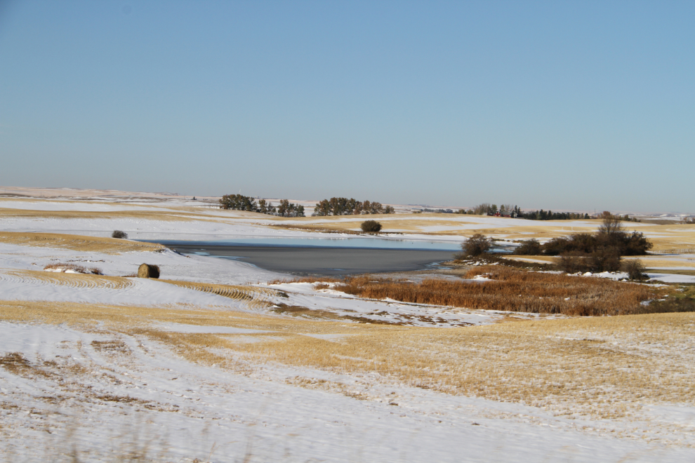 Along Range Road 195 south of Wayne, Alberta