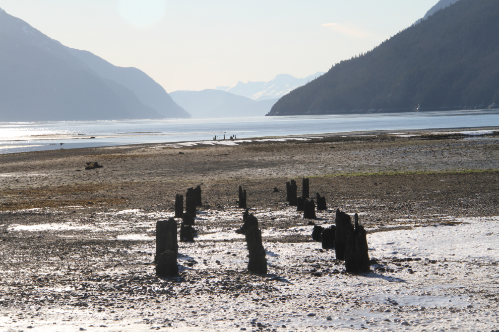 120-year-old wharf pilings at Dyea, Alaska