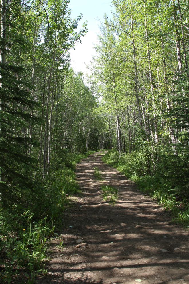 The trail to Eaton Falls at Grande Cache, Alberta