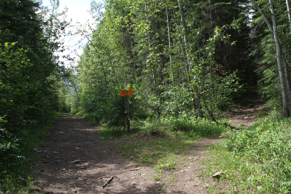 The trail to Eaton Falls at Grande Cache, Alberta