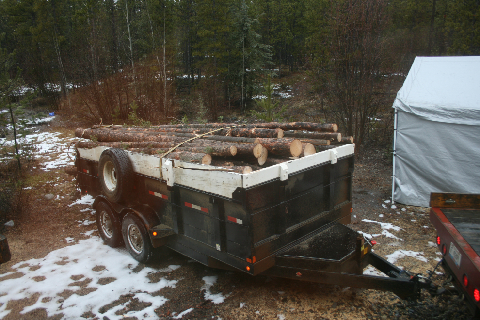 Firewood logs - arrival