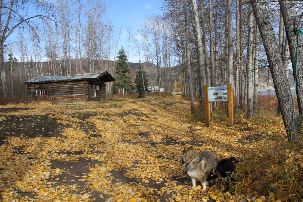 Telegraph station at Forty Mile, Yukon