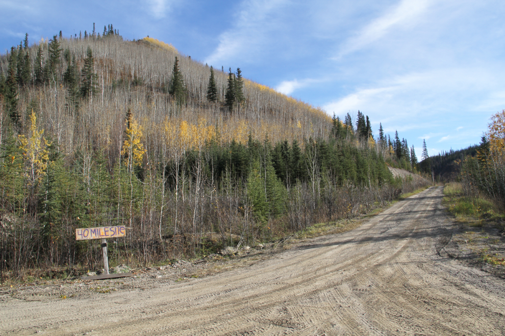 Road to Forty Mile townsite, Yukon
