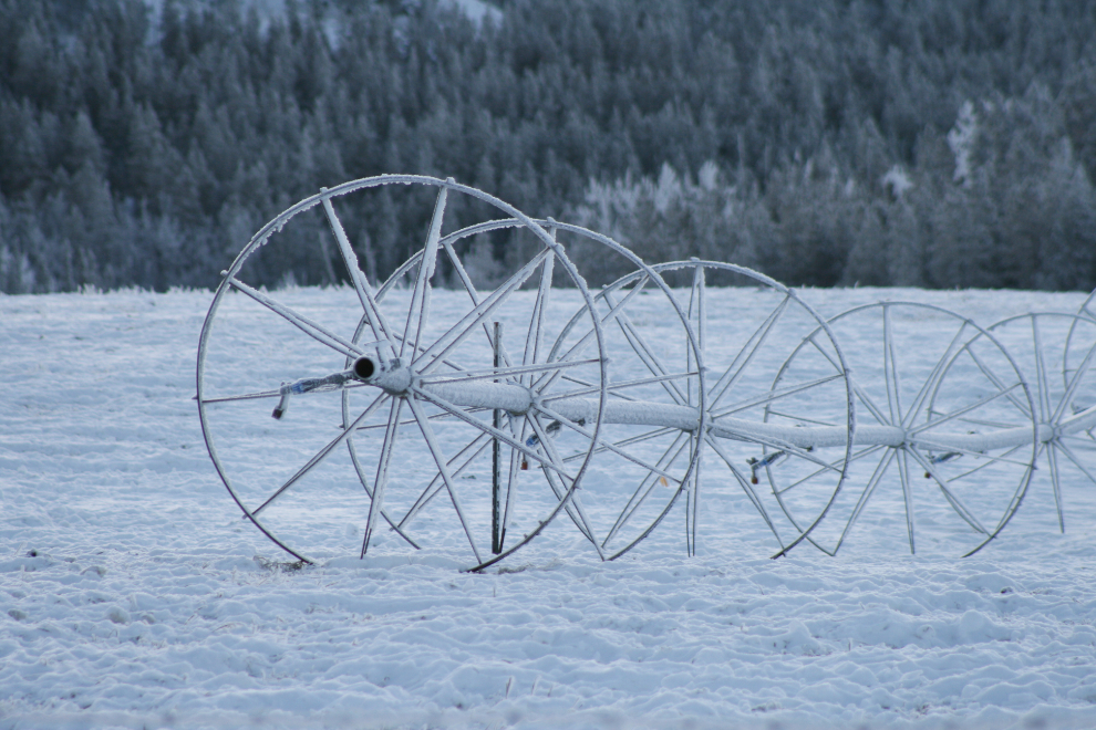 A frosty morning on the Alaska Highway west of Whitehorse