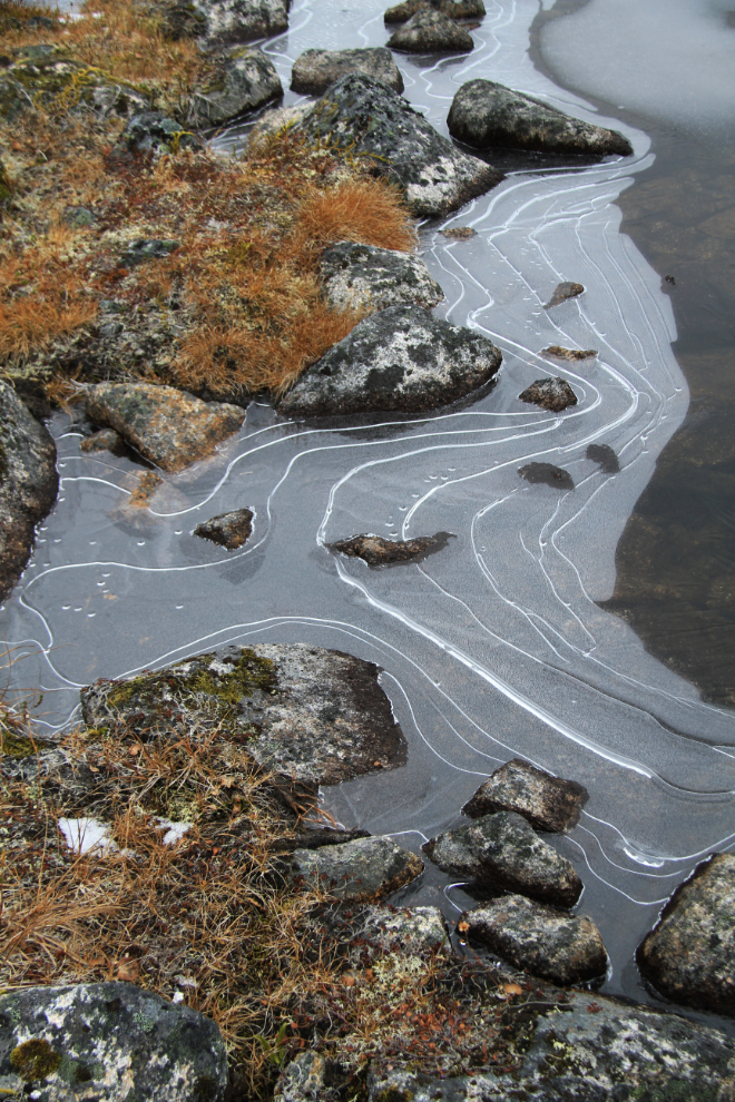 Ice patterns in the White Pass, BC