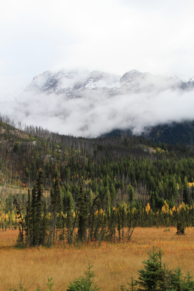 Fall colours and fresh snow in the Canadian Rockies