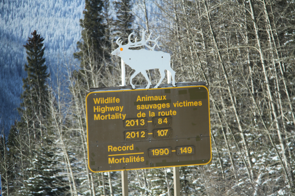 Sign listing animal highway fatalities in Jasper National Park, Alberta