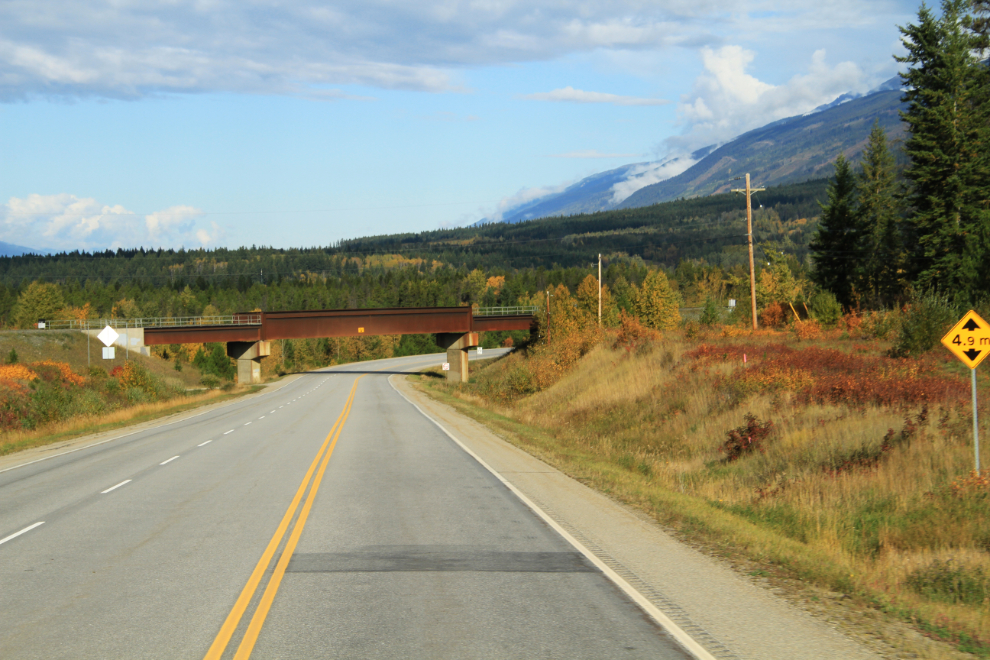 BC Hwy 5 north of Valemount