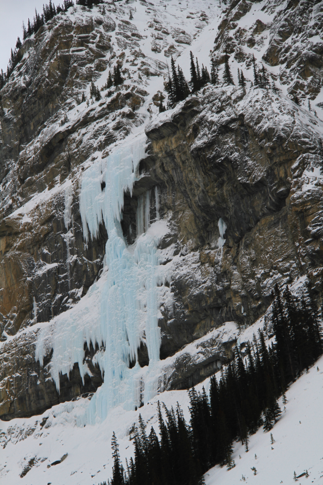 Frozen waterfall along the Icefields Parkway, Jasper Park