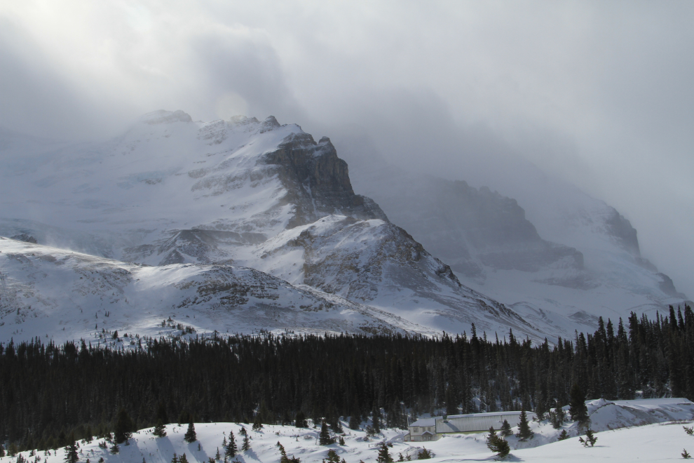 Mountains beside the Columbia Icefields