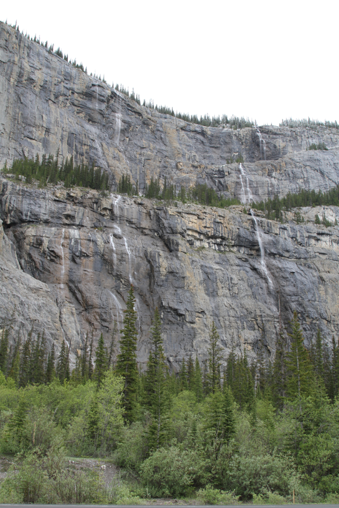 The Weeping Wall of waterfalls on the Icefields Parkway