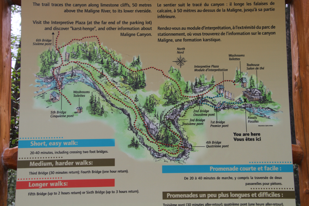 Map of Maligne Canyon, Jasper National Park