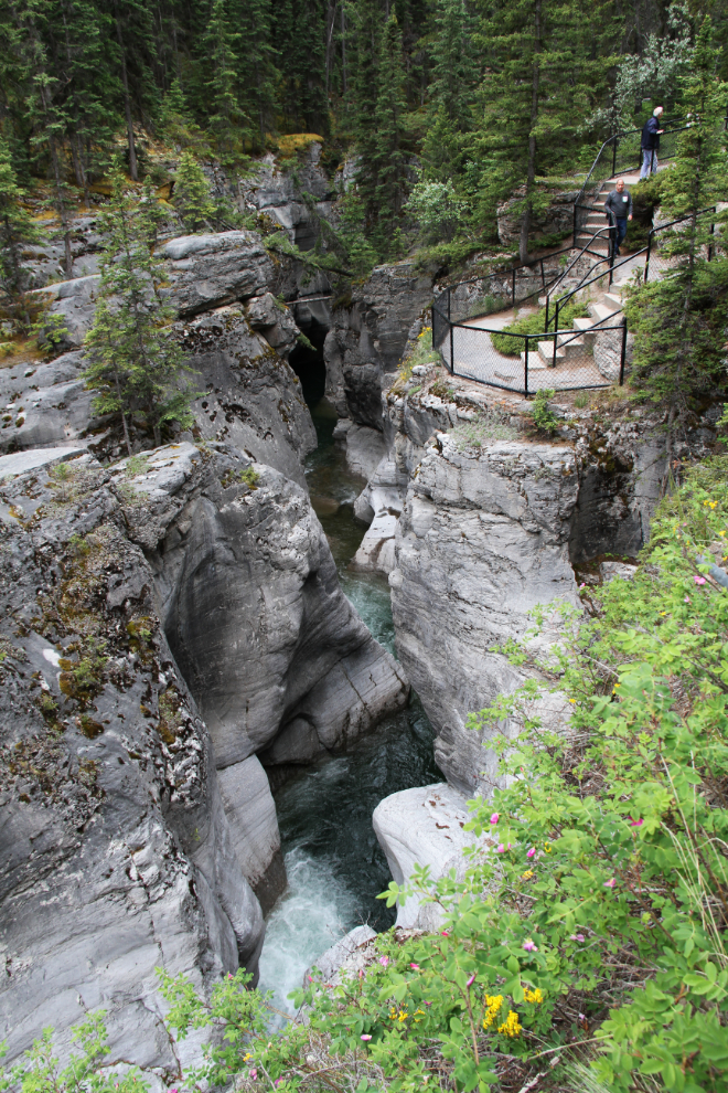 Maligne Canyon, Jasper National Park