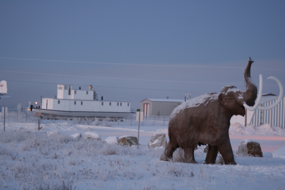 A woolly mammoth at Whitehorse on a frosty day