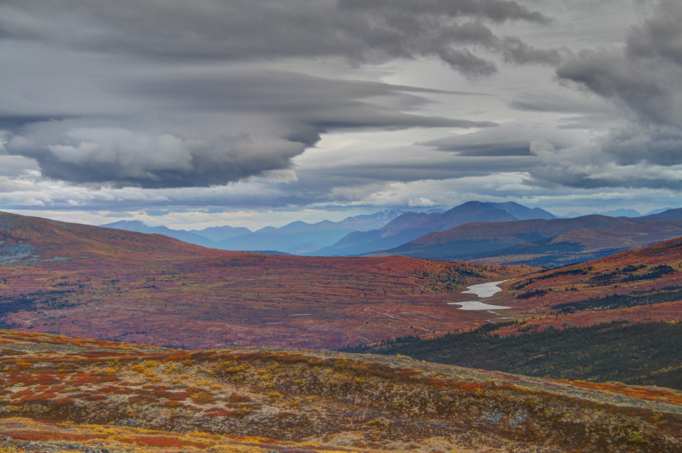 Fall colours on Mt McIntyre at Whitehorse, Yukon