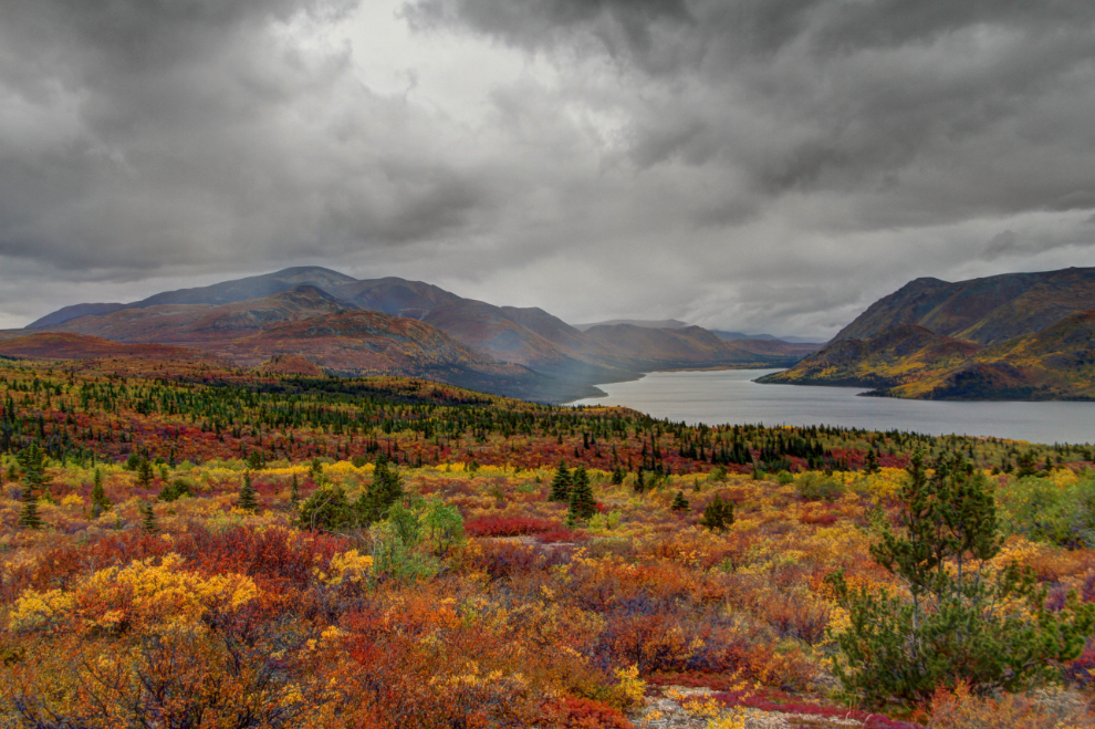 Fall colours above stormy Fish Lake, Yukon